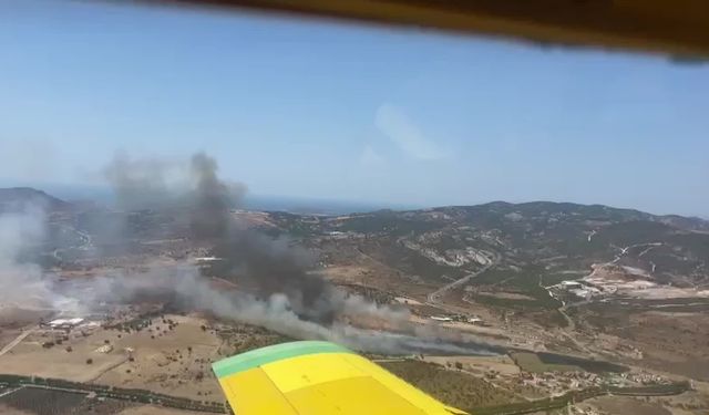 İzmir Foça'da yangın çıktı