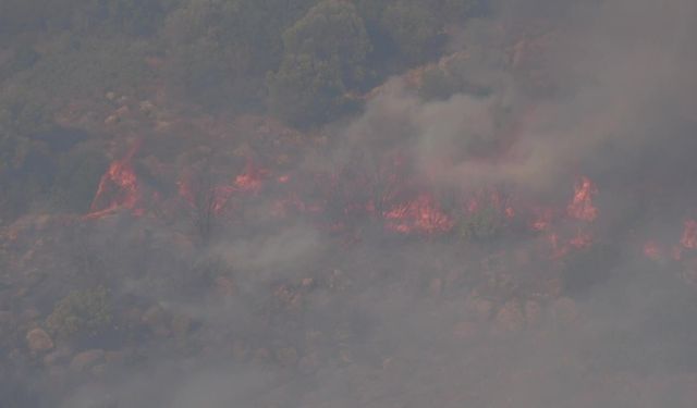 İzmir Urla'daki orman yangını 8 saati aşkın süredir devam ediyor