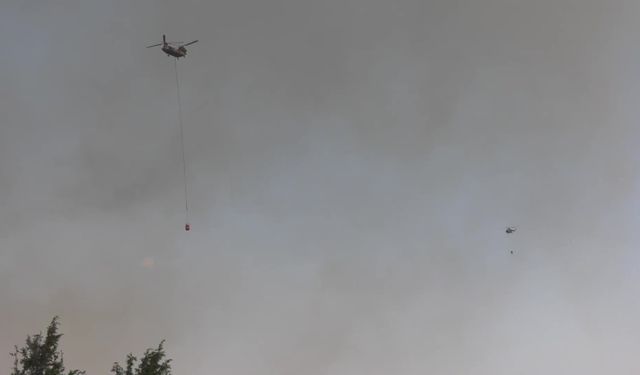 İzmir'in Buca ilçesinde çıkan orman yangınına havadan ve karadan müdahale devam ediyor