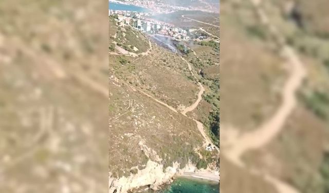 İzmir'in Foça ilçesinde çıkan orman yangını kontrol altına alındı