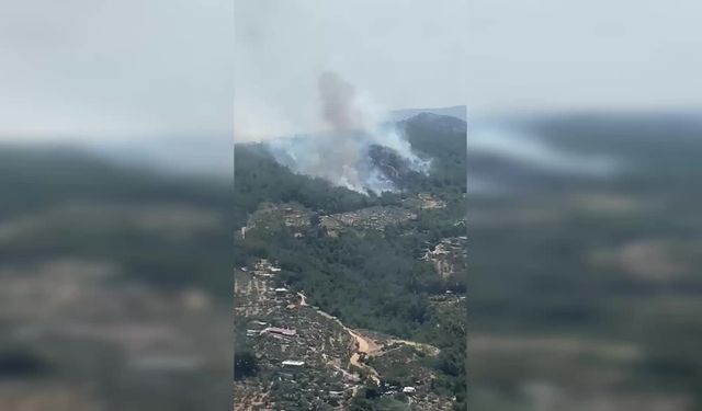 İzmir'in Menderes ilçesinde orman yangını çıktı