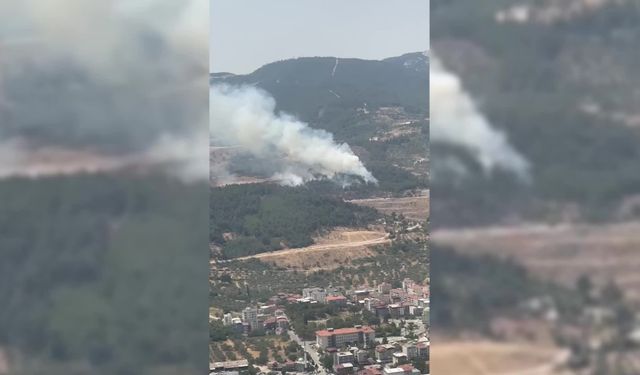 Manisa’nın Soma ilçesinde orman yangını