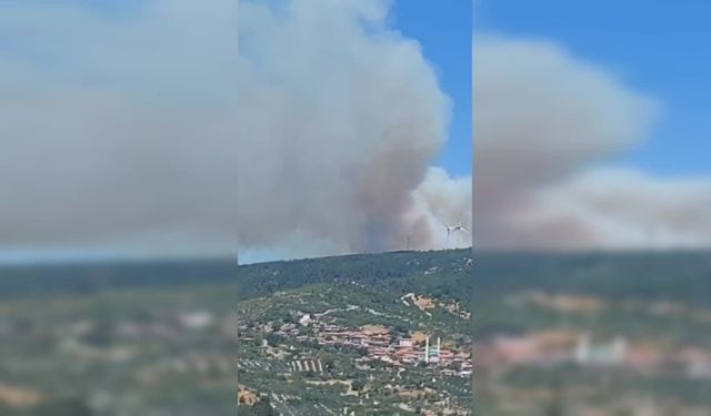 Manisa'nın Soma ilçesinde ormanlık alanda yangın çıktı