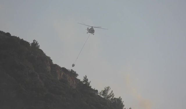 Muğla Valisi Akbıyık'dan Bodrum'daki orman yangınına ilişkin açıklama: "Yangının yayılması engellendi"