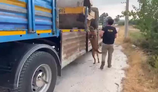 Osmaniye'de operasyon: 77 kilo uyuşturucu madde ele geçirildi