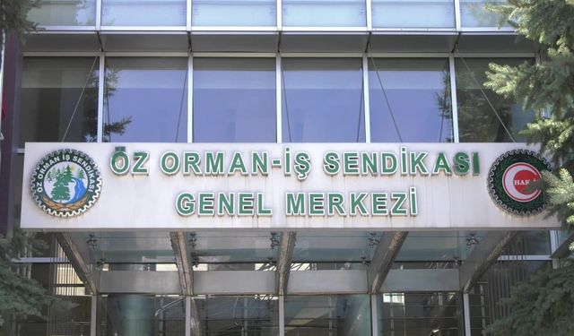 Öz Orman-İş Sendikası Genel Başkanı Aslan, artan orman yangınlarını değerlendirdi: "Taşıma suyla değirmen döndürmeye çalışıyoruz"