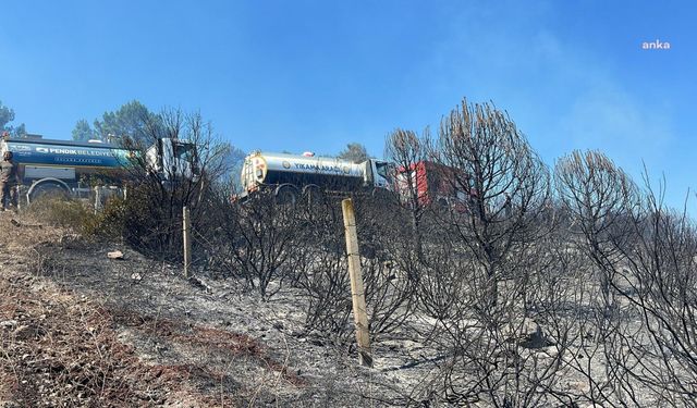 Pendik-Aydos Ormanı'nda çıkan yangın kontrol altına alındı