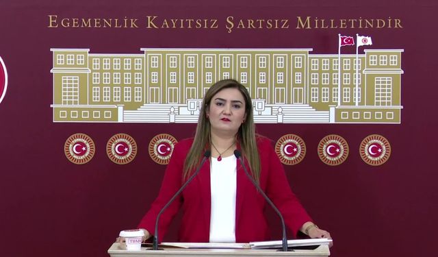 Sevda Erdan Kılıç: Bu yılın ilk altı ayında kadın cinayetleri kapsamında 24 çocuk hayatını kaybetti