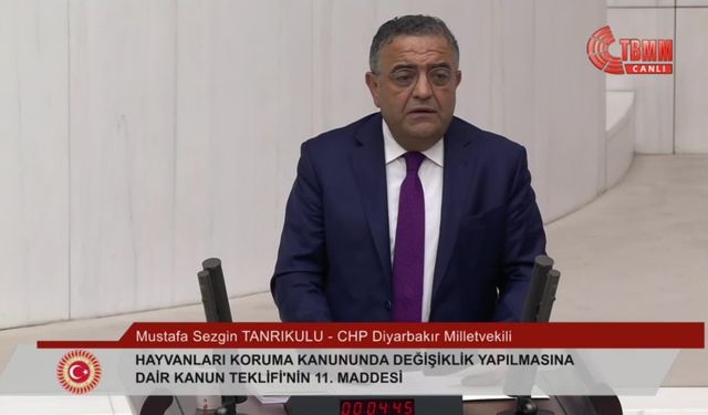 Sezgin Tanrıkulu: "Canlılar konusunda uzlaşabilirdik, beceremedik ve bir kutuplaşmaya alet olduk”