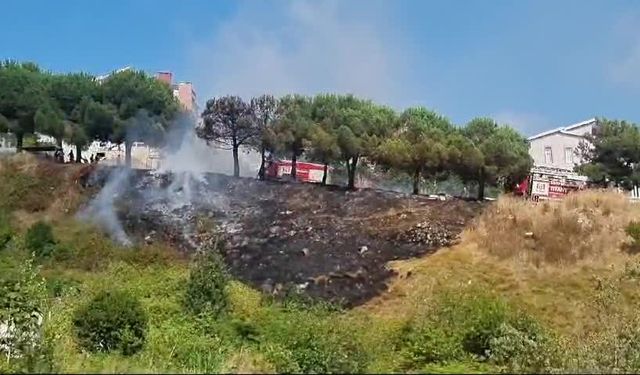 Sinop’ta çıkan yangında çam ağaçları zarar gördü