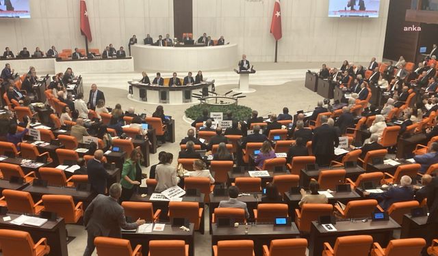 Sokak hayvanlarına ilişkin düzenlemeler içerek ilk kanun teklifinin ilk beş maddesi TBMM Genel Kurulu'nda kabul edildi