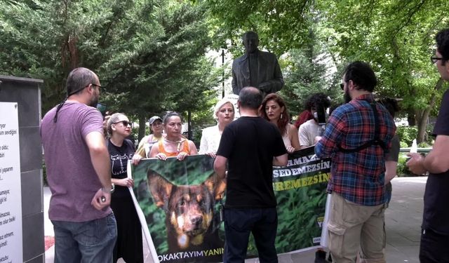 Sokak hayvanlarının "uyutulması" düzenlemesine TBMM önünde protesto..