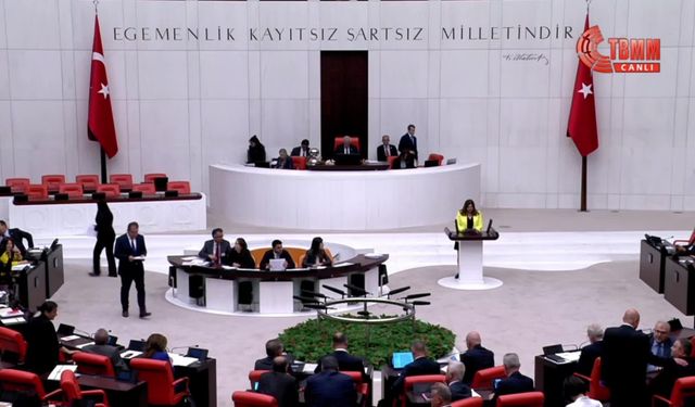 TBMM Genel Kurulu... İYİ Parti'li Taşçı Hamşıoğlu: Ayçiçeğinde üretimi artırmak, çiftçiyi teşvik etmek zorundayız