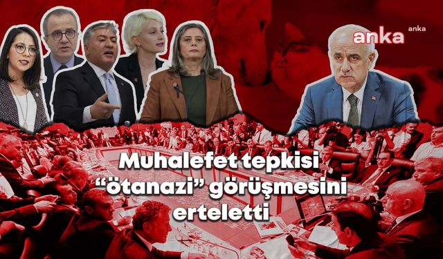 TBMM'de gergin gecenin ayrıntıları: "Gerekli görülürse sağlıklı hayvanlar da öldürülecek" tartışmasında muhalefetin tepkisi “ötanazi” görüşmelerini erteletti