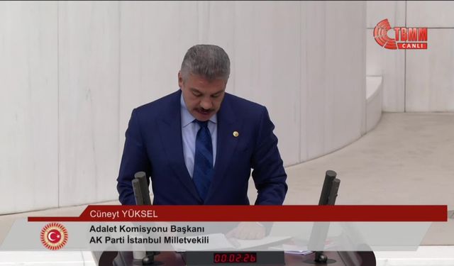 TBMM'de sokak hayvanlarına ilişkin kanun teklifi  görüşmelerinde "usul tartışması"...