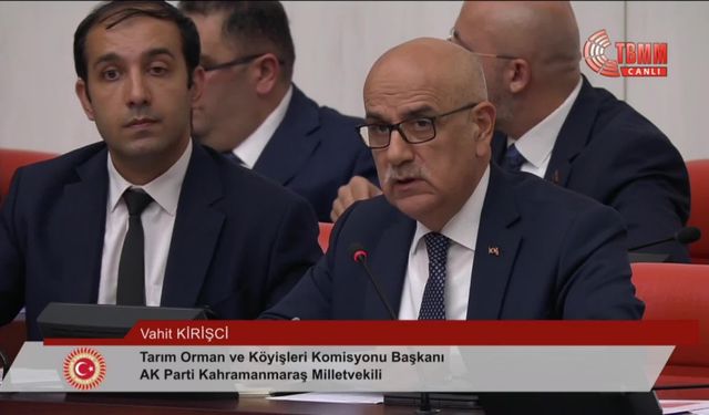 TBMM'de sokak hayvanlarına ilişkin kanun teklifinin görüşmelerinde komisyon başkanı Kirişci milletvekillerinin sorularını yanıtladı