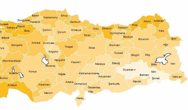 TÜİK: 2023 yılında işsizlik oranı yüzde 9,4, işsizlik oranı en yüksek il Hakkari