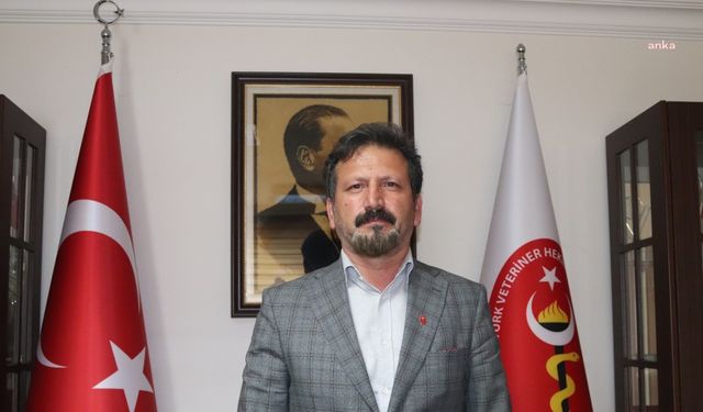 Türk Veteriner Hekimleri Birliği’nden sokak hayvanlarıyla ilgili kanun teklifine tepki: "Bu haliyle taslağın yanında olmayacağız"