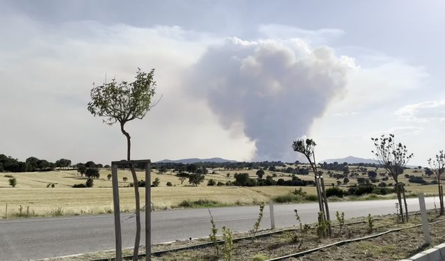 Uşak Kayağıl köyünde orman yangını