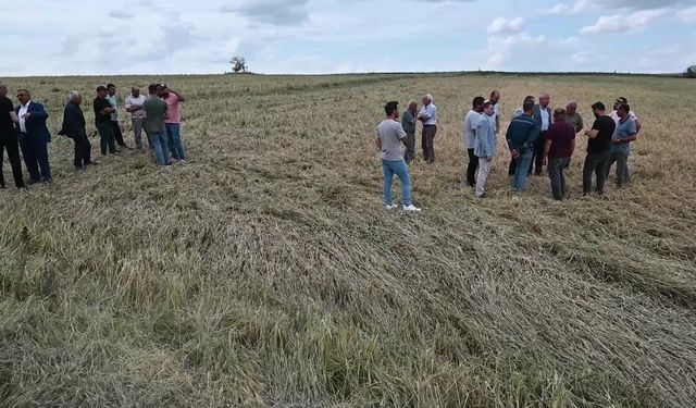 Yozgat’ta afetten zarar gören tarım alanları için çiftçilere mali destek verilecek