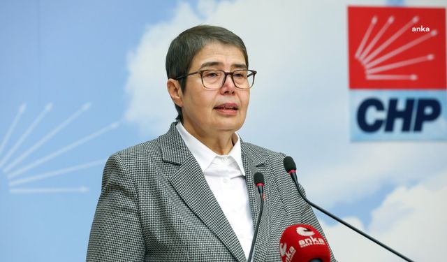 Zeliha Aksaz Şahbaz'dan sokak hayvanlarıyla ilgili kanun teklifine eleştiri: "Bu yasa tasarısı geri çekilmezse, yerel yönetimlerle halkı karşı karşıya getirecek"