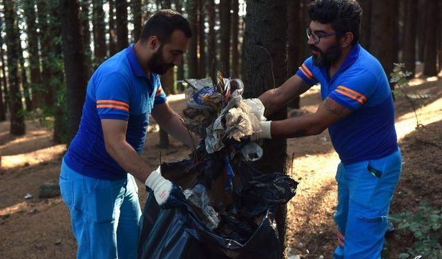 Yıldırım'da ormanlık alanlar temizleniyor