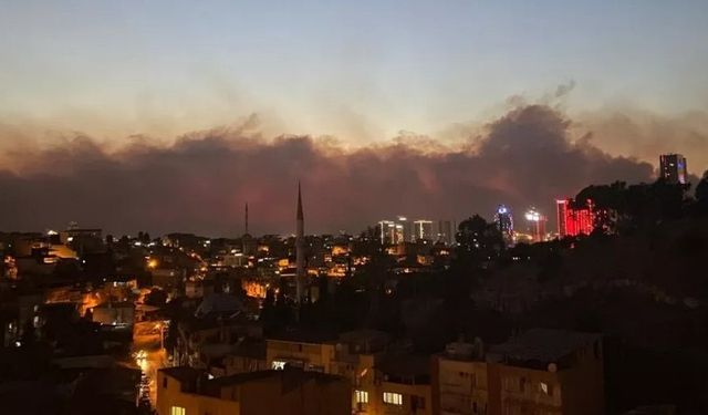 İzmir'de Yangın: Havadan Müdahale Yeniden Başladı!