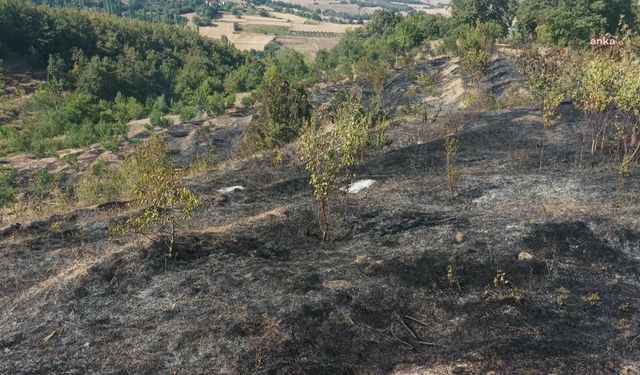 Amasya'da çıkan yangında 10 dönüm meyve bahçesi zarar gördü