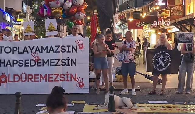 Antalya'da hayvanseverlerden katliamlara protesto: "Yıllardır birlikte yaşadığımız komşularımızı kanlı ellerinize teslim etmeyeceğiz"