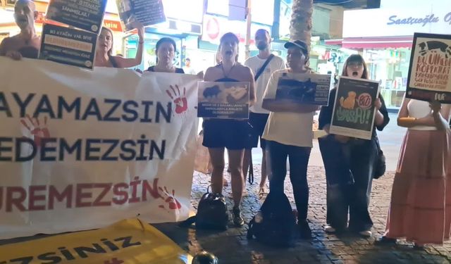 Antalya’da Hayvanseverlerden tepki: “Saldırganlar bu cesareti hayvanların öldürülmesini meşrulaştıran, iktidardan almaktadır”