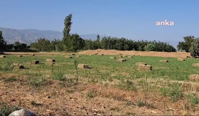 Aydın- Denizli otoyolunun verimli tarım arazisinden geçmesine tepki: "Bağlantı yolunun geçtiği topraklar çok kıymetli"