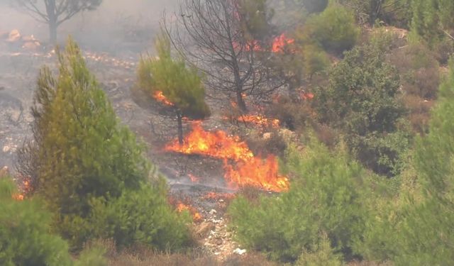 Aydın yangınında 25. saat… CHP’li Saatçı: Gece görüşlü helikopter olsaydı böyle devam etmezdi 