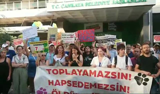 Başıboş sokak köpeklerinin toplatılmasına, hayvanseverlerden Ankara'da protesto