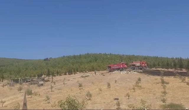 Bergama'da ormanlık alanda çıkan yangın kısa sürede söndürüldü