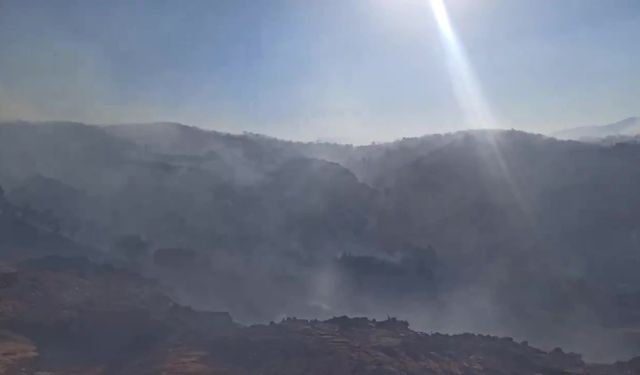 Bingöl’de orman yangını... Bölgede çok sayıda kişi tahliye edildi