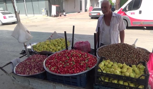 Bir tane incirin fiyatının 15 lira olmasına tepki gösteren vatandaş: "Ben bunu nasıl alıp yiyeceğim?"