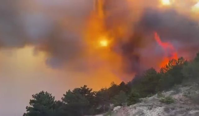 Bolu Göynük Bekirfakılar köyü mevkiindeki ormanlık alanda yangın