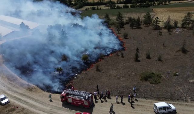 Bolu'da içinde köy mezarlığının da bulunduğu 10 dönümlük alan yandı