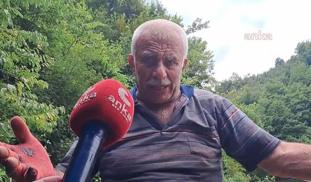 Borçkalı çay üreticisi: "Milleti perişan ettiler, hamsi parasına çay veriyoruz"