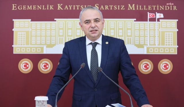 CHP'li Bakırlıoğlu: Bu gidişle zeytin de domates gibi dalında kalacak