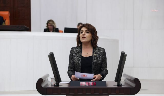 CHP'li Gülcan Kış: "Vatandaşlarımızın borçlarını ödeyebilmesi için ekonomik destek paketleri devreye sokulmalı"