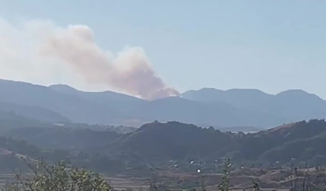 Çorum Dodurga'da çıkan orman yangını söndürüldü