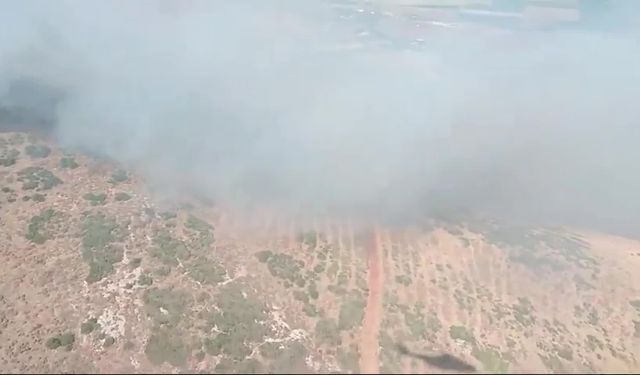 Hatay Antakya'da orman yangını çıktı