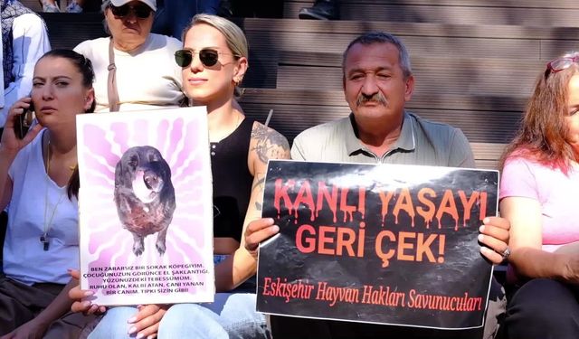 Hayvanseverlerden belediyelere tepki: “Hayvanların toplatılması yasaya aykırı”