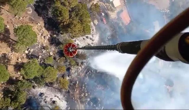 İzmir Bergama’da çıkan yangın kontrol altına alındı