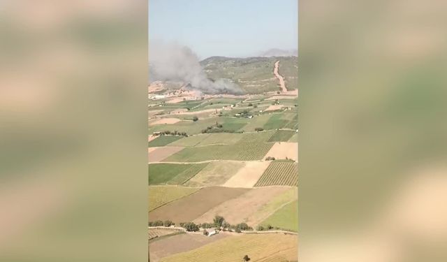 İzmir'in Bargama ilçesinde orman yangını çıktı