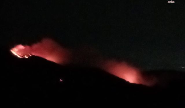 İzmir'in Karşıyaka ilçesinde orman yangını çıktı