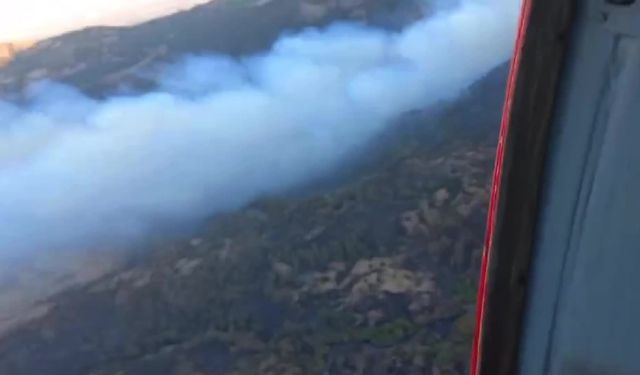 İzmir’in Karşıyaka ilçesindeki orman yangınına havadan müdahale başladı   