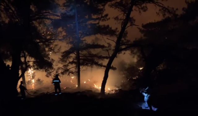 İzmir’in Karşıyaka ilçesindeki orman yangınına müdahale devam ediyor