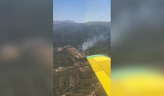 İzmir'in Kemalpaşa ilçesinde orman yangını çıktı